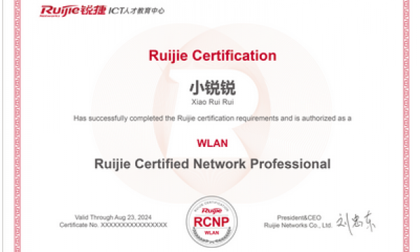 RCNP-WLAN 